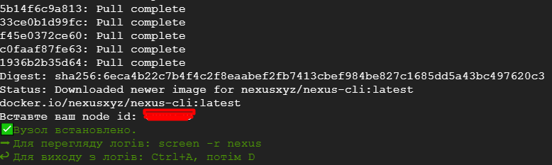 Nexus | Встановлюємо прувер | Testnet 3 — Teletype