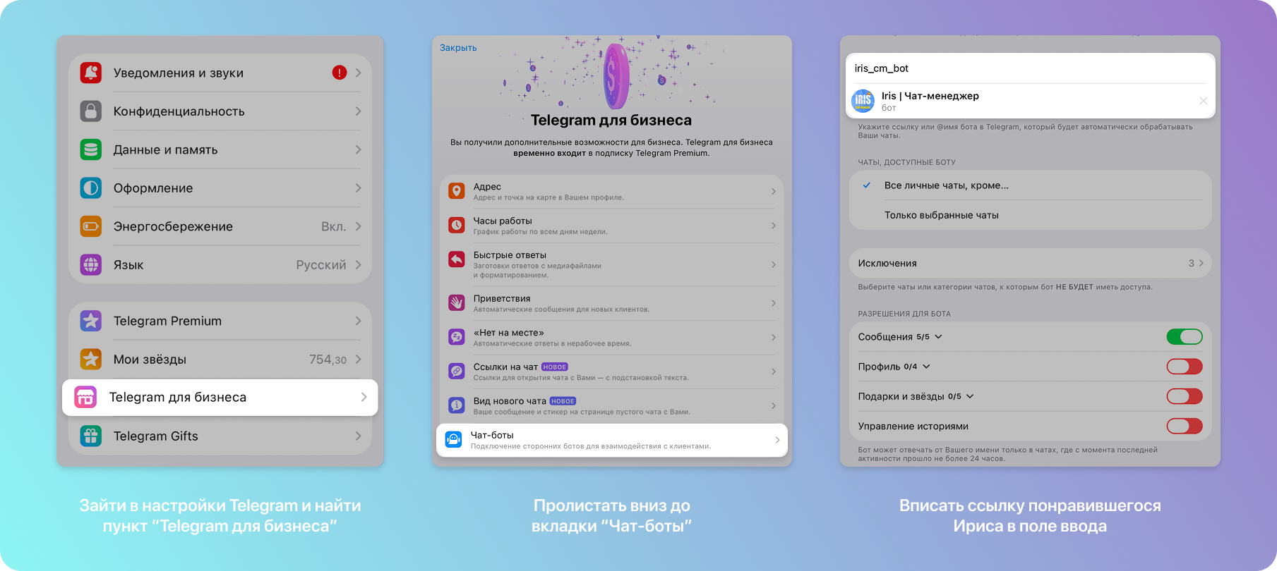 Установка Iris | Чат-менеджера в качестве Бизнес-бота — Teletype