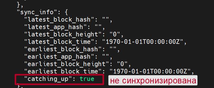 Установка ноды STRIDE — Teletype