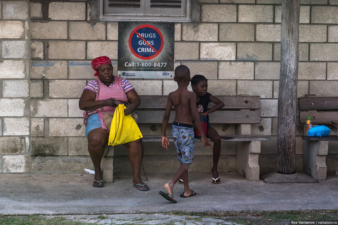 Барбадос население. Жители Барбадоса. Барбадос местные жители. Барбадос местное население. Дам гватемалу и два барбадоса