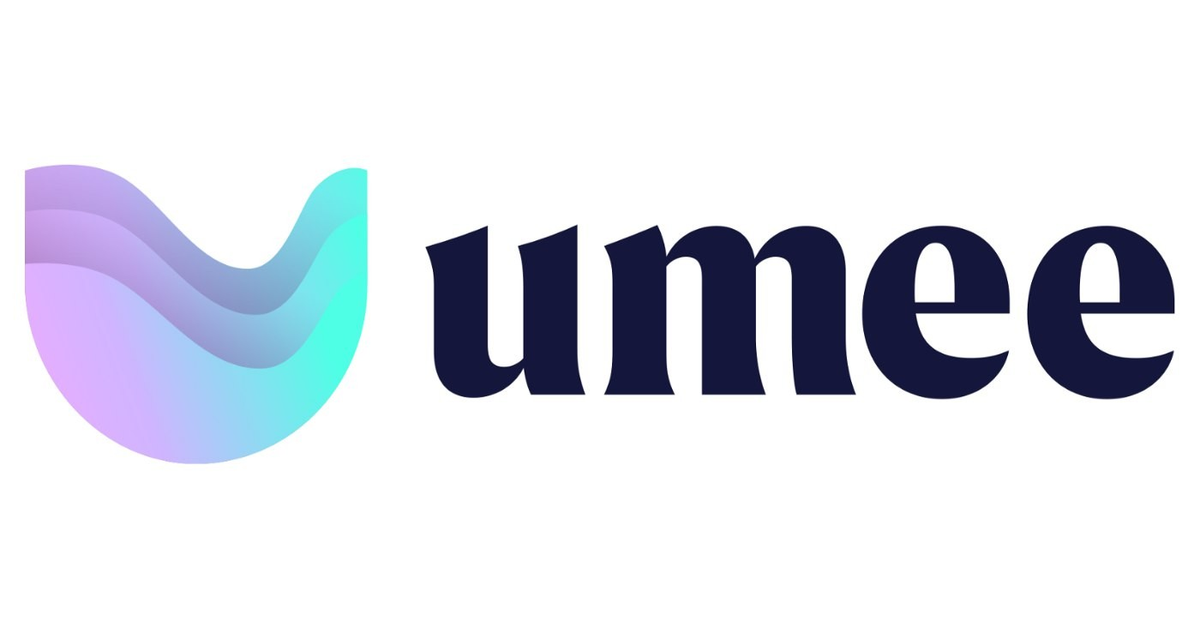 Обзор Крипто-проекта UMEE — Teletype
