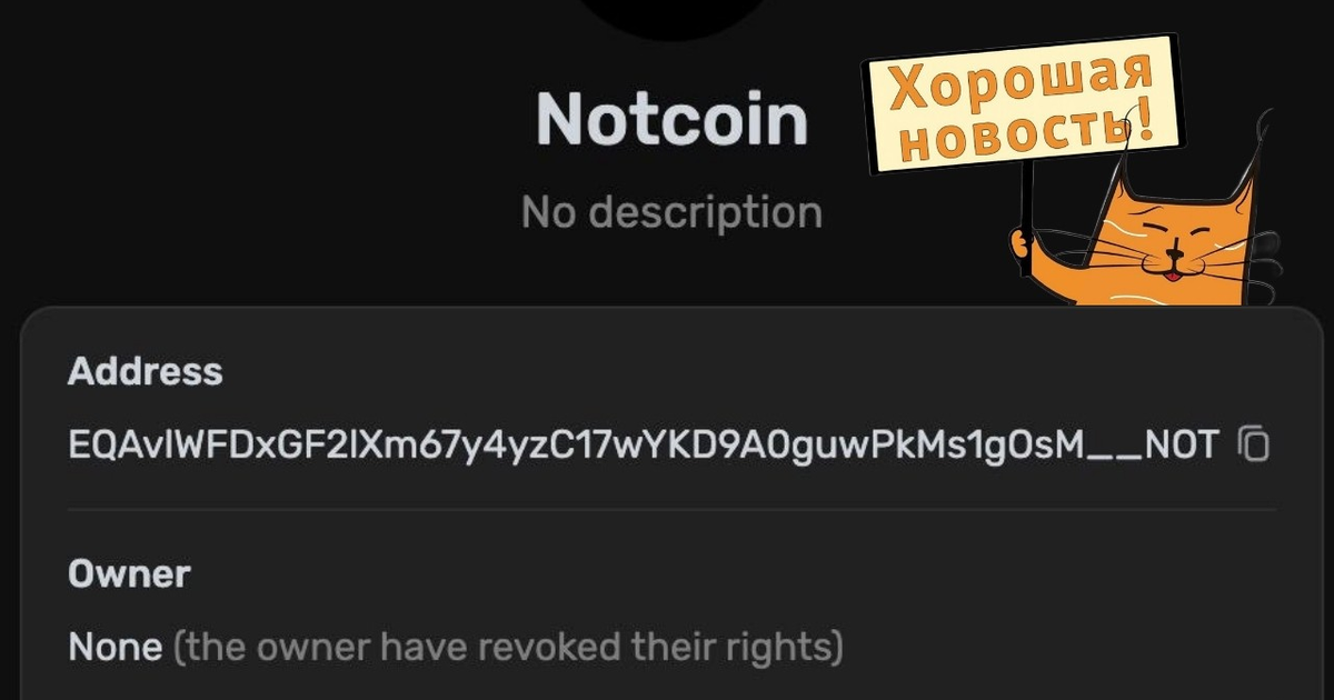 Notcoin больше не имеет владельца. Что это значит для нас? — Teletype