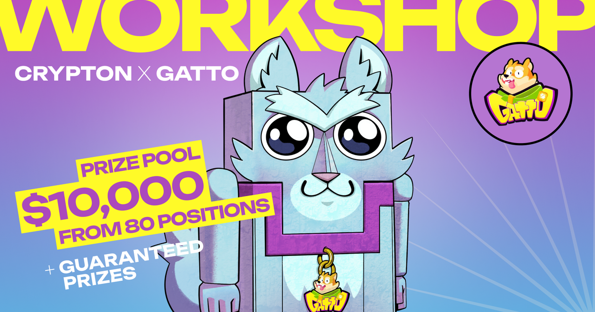 Gatto WorkShop Guide: ByBit WSOT DEX Wave — Teletype