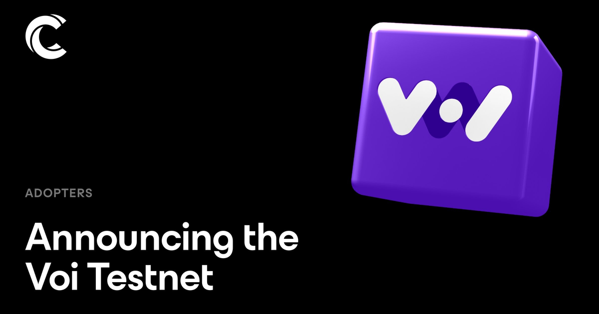 Voi Network | Testnet | Node Guide by SCAMEIKA — Teletype