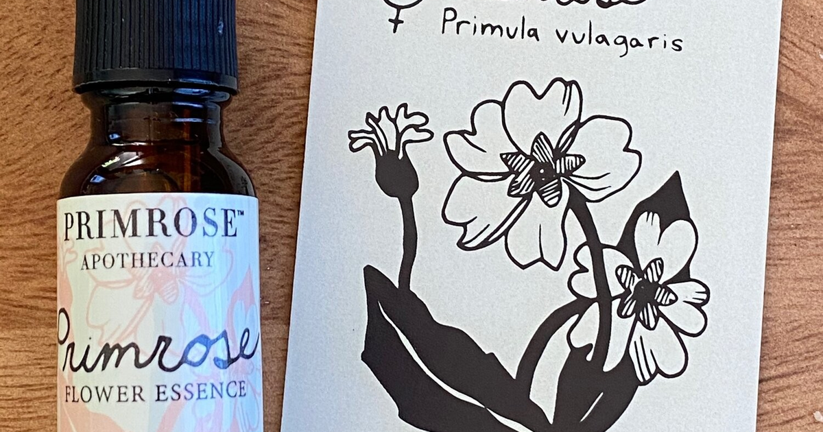 🌸 My Flower Essences — Teletype